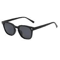 028  Waye Polarized