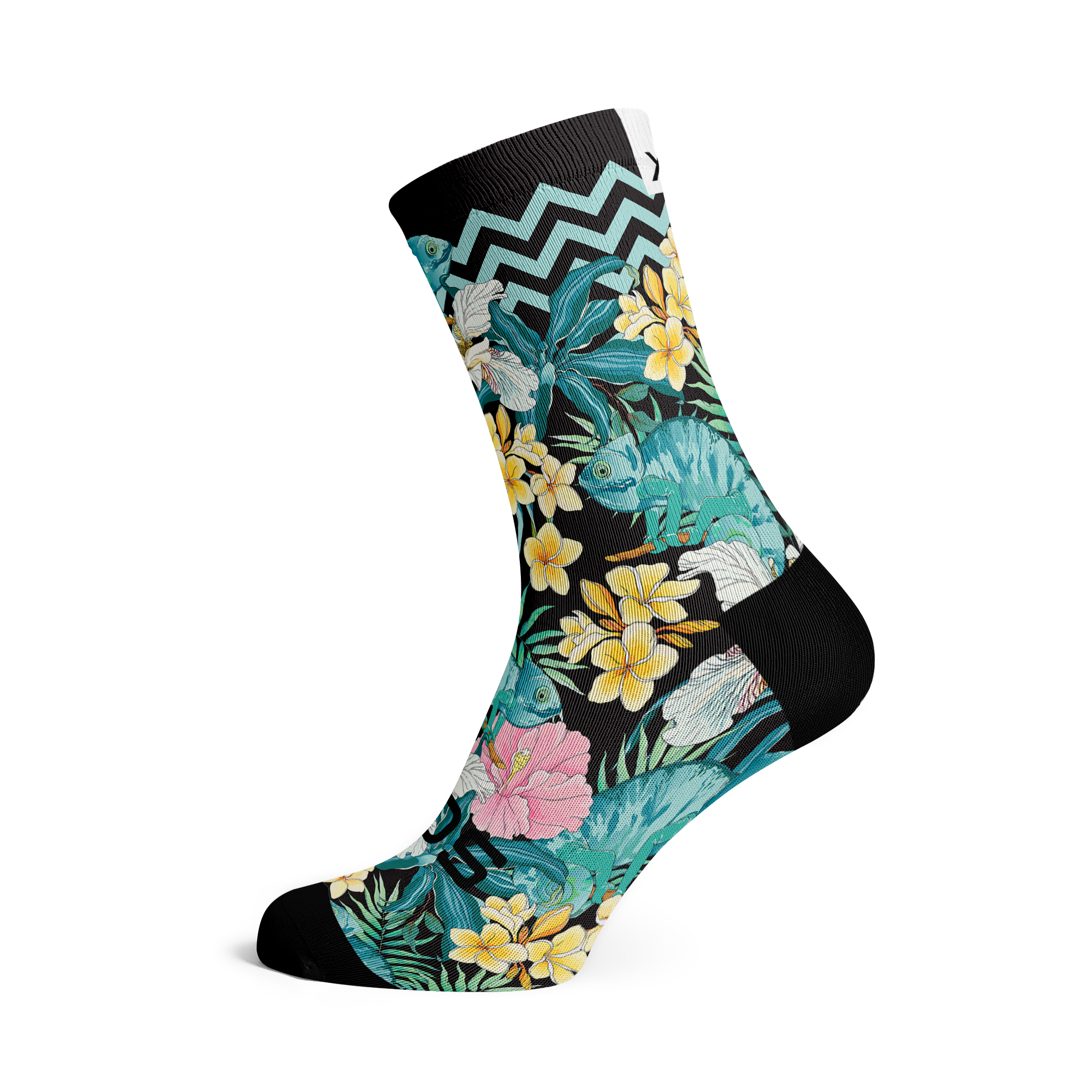 Chameleon Socks