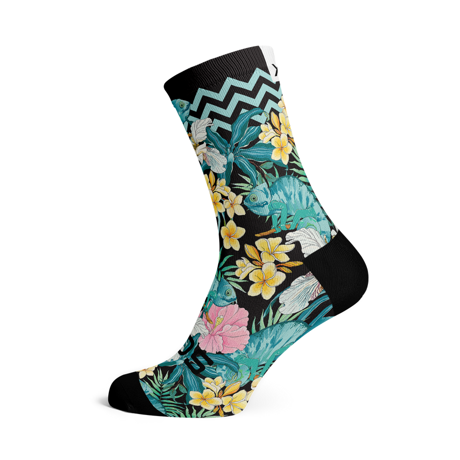 Chameleon Socks