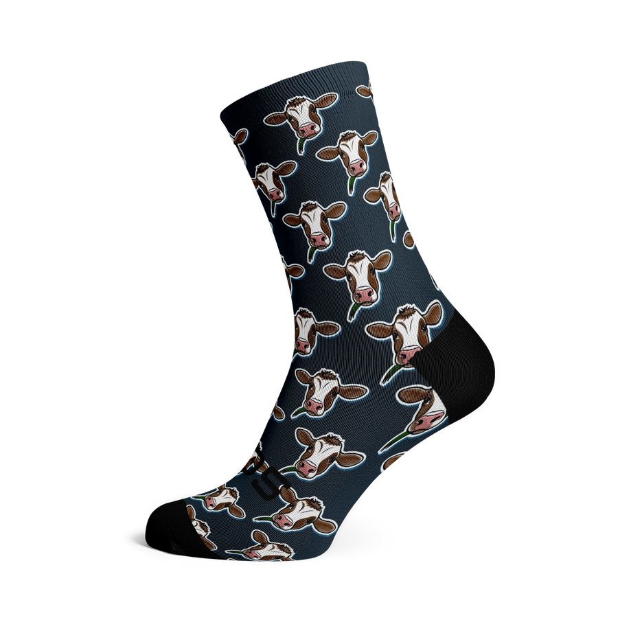 Cows