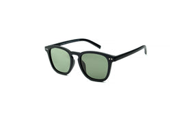 Waye Polarized P6