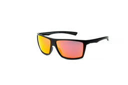 023 Waye Polarisiert